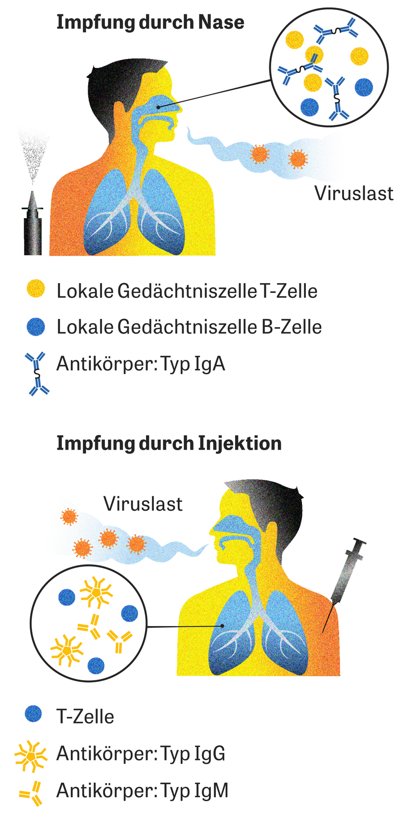 Corona-Impfung: Spritzen wren nicht mehr notwendig | DIE ZEIT