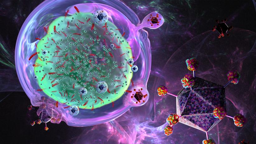 Immuntherapie: So lernt der Körper, Krebszellen zu bekämpfen