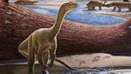 Dinosaurier: Die ältesten Dinos vom uralten Superkontinent
