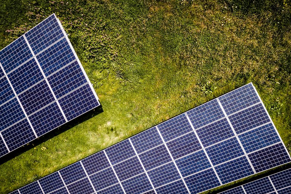 Solar: Wie die Fotovoltaik-Strategie der Ampel Solar-Anbieter