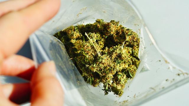 Cannabis: Experten plädieren in offenem Brief für Teillegalisierung
