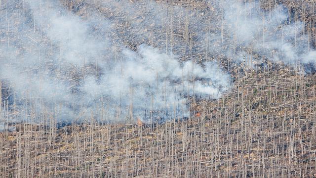 Waldbrand im Harz: Einsatzkräfte starten Ermittlungen zur Brandursache am Brocken