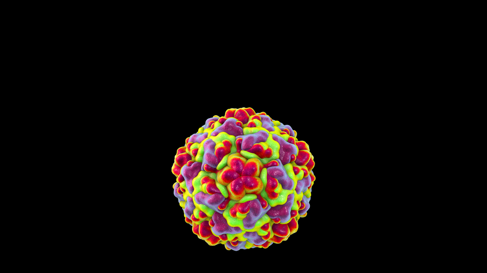 Rhinovirus Das ewige Schniefen Rhinovirus sehr häufig, und häufig