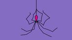 Arachnophobie: Wie es wirklich ist