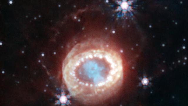 Supernova: Endlich gefunden: Die Überreste der berühmtesten Supernova
