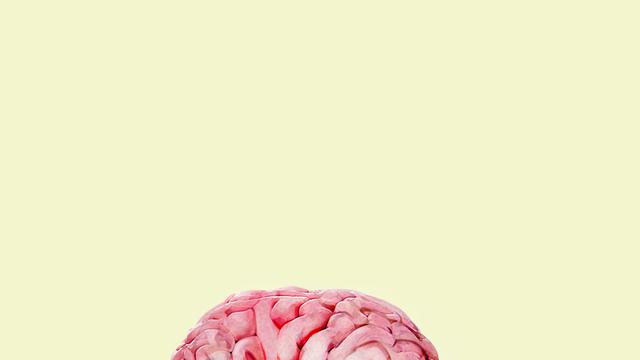 Geistige Arbeit: Das Gehirn braucht beim Denken more Energie als sonst. Stimuleer?