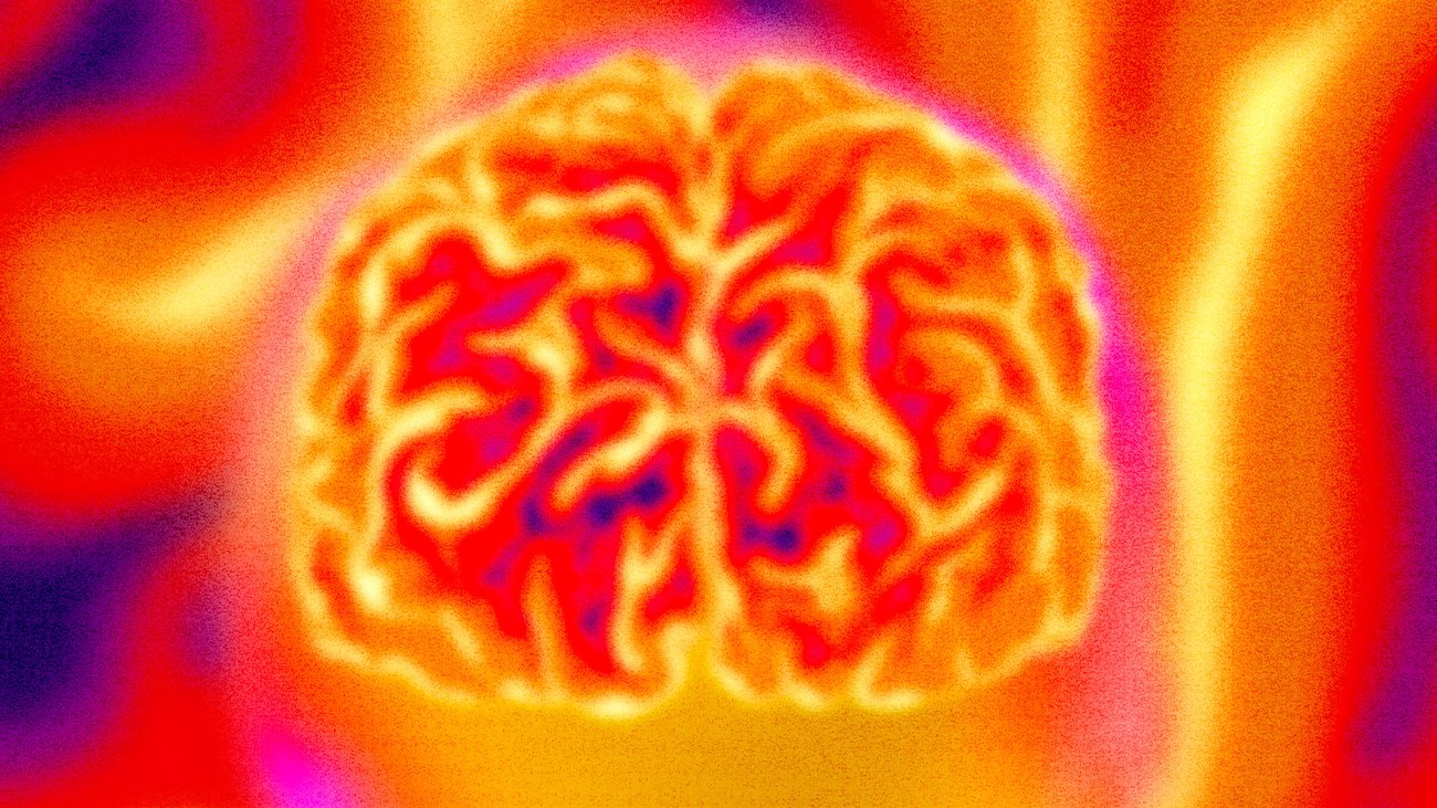 Vagues de chaleur extrêmes : cerveau chaud |  TEMPS EN LIGNE