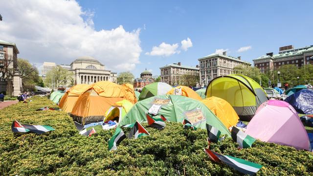 Propalästinensische Aktivisten: Das steht ja so bei Google