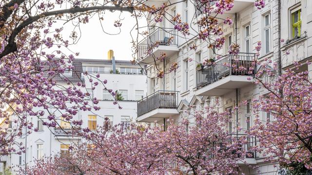 Gebäudesanierung : Wer zahlt Deutschlands neue Fenster?