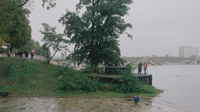 Carolabrücke in Dresden: Innerlich kaputt