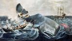 „Moby-Dick“ : Ein Wal von einem Buch