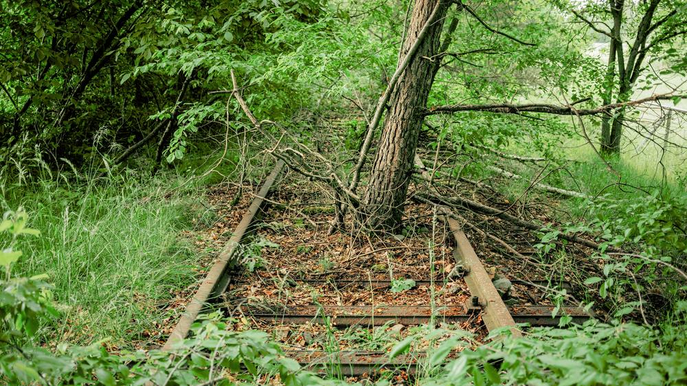 Bäume an Bahnglieisen: Zo kan een einde komen: Stillgelegte Bahnstrecke in het Ruhrgebied