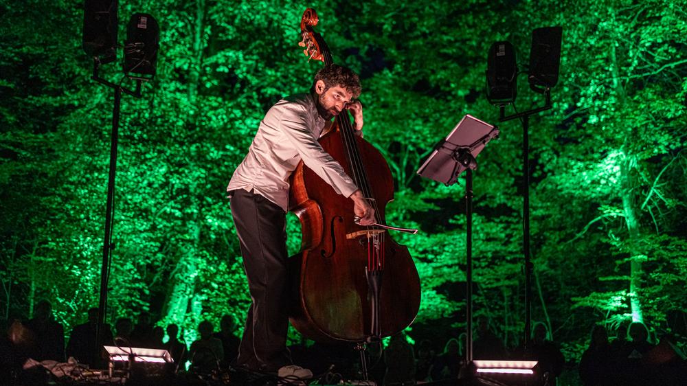 Der Double Bassist Florentin Ginot a "Lovely wood" von Carola Bauckholt in the Donaueschinger Schlosspark.