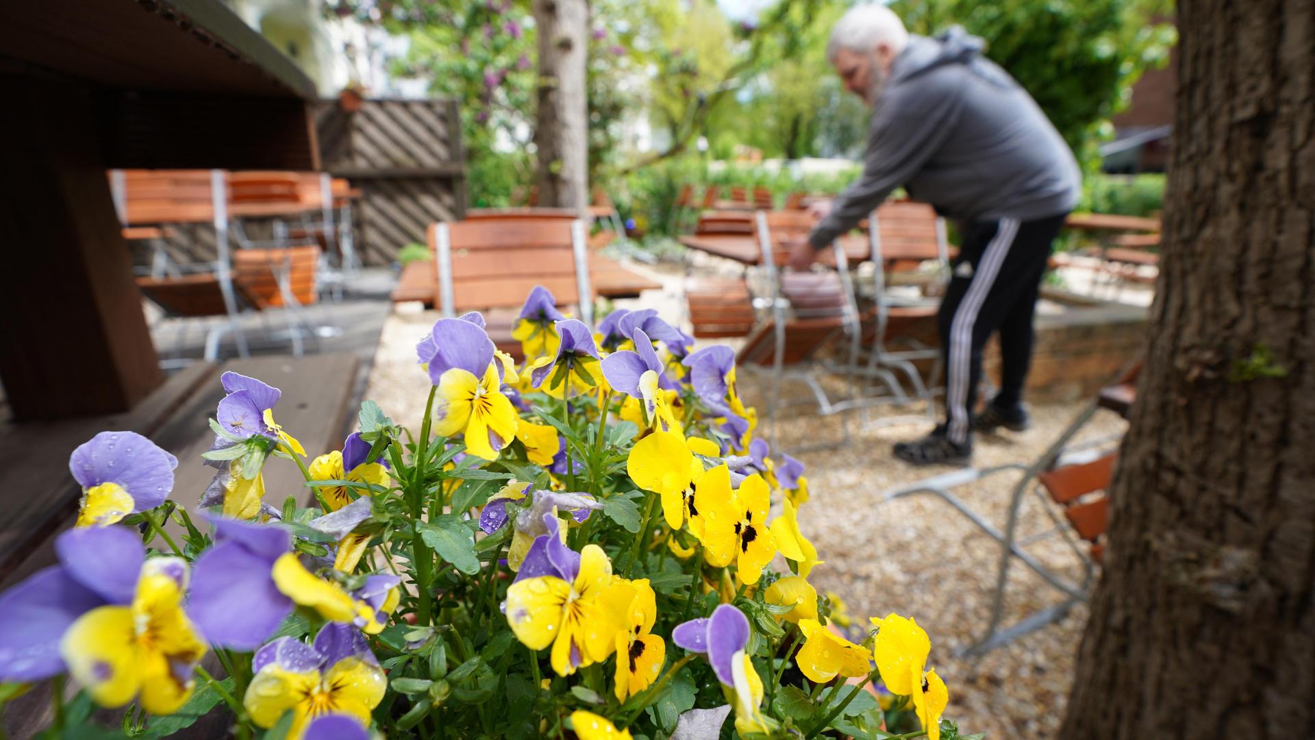 Elbvertiefung: Der tägliche Newsletter aus Hamburg: Von Biergärten und Blumenwiesen