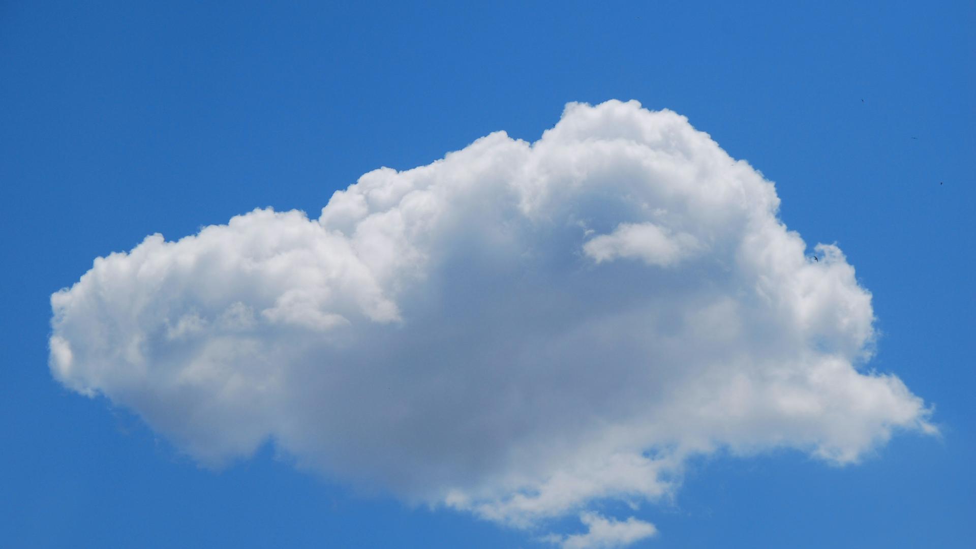 Elbvertiefung: Der tägliche Newsletter aus Hamburg: Wie kommen japanische Wolken in eine Kirche nac…
