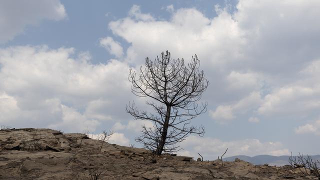Extremwetter: Extremwetterereignisse kosten EU-Länder 126 Milliarden Euro