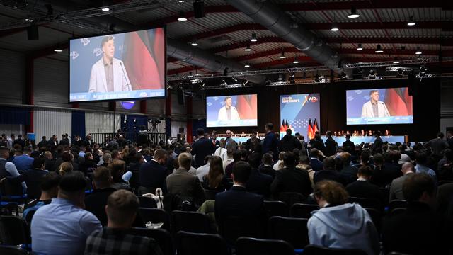 Generation Germany: AfD leadership reviews party member after questionable speech