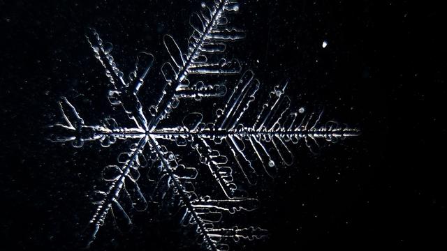 Elbvertiefung: Der tägliche Newsletter aus Hamburg: Minus 271 Grad Celsius! Ab heute wird es kalt i…