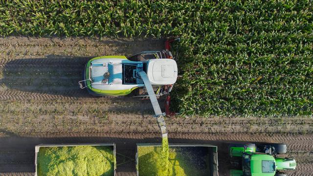 Handelsabkommen: EU-Parlament fordert besseren Schutz für Bauern bei Mercosur-Abkommen