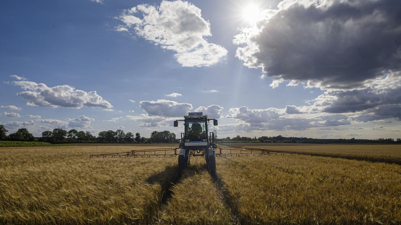 Technologie in der Landwirtschaft: Der Acker wird jetzt