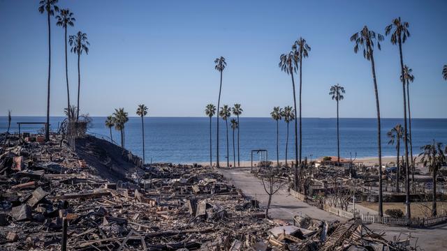 Private Feuerwehr in Los Angeles: Für 70.000 Dollar schützen wir Ihr Haus