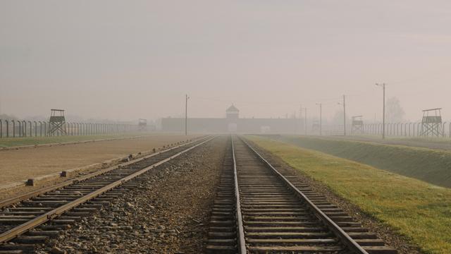 Auschwitz: Kein Gras soll über Auschwitz wachsen