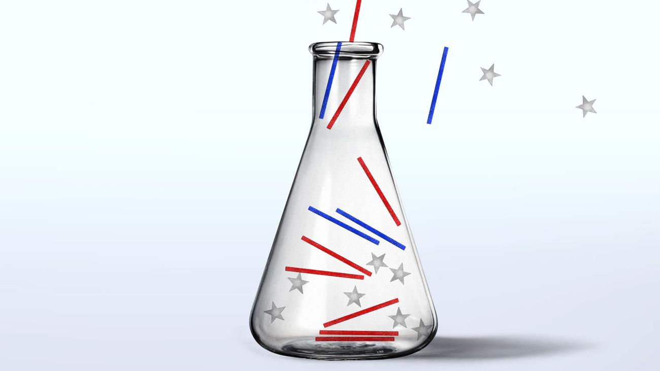 Wissenschaftler aus den USA: Die Besten zu uns?