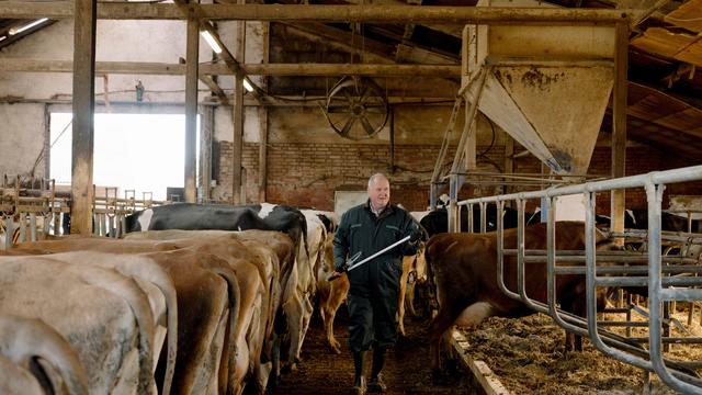 Tierseuchen: Impfst du noch, oder keulst du schon?