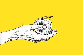 Schöpfungsgeschichten: online