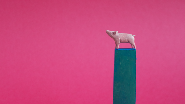 Schweinefleisch: Zum Essen gern