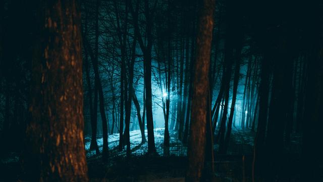 Krimis: Ein verdächtiges Alibi