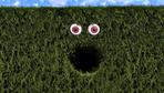 Hecke in Glinde: Was ist da im Busch?