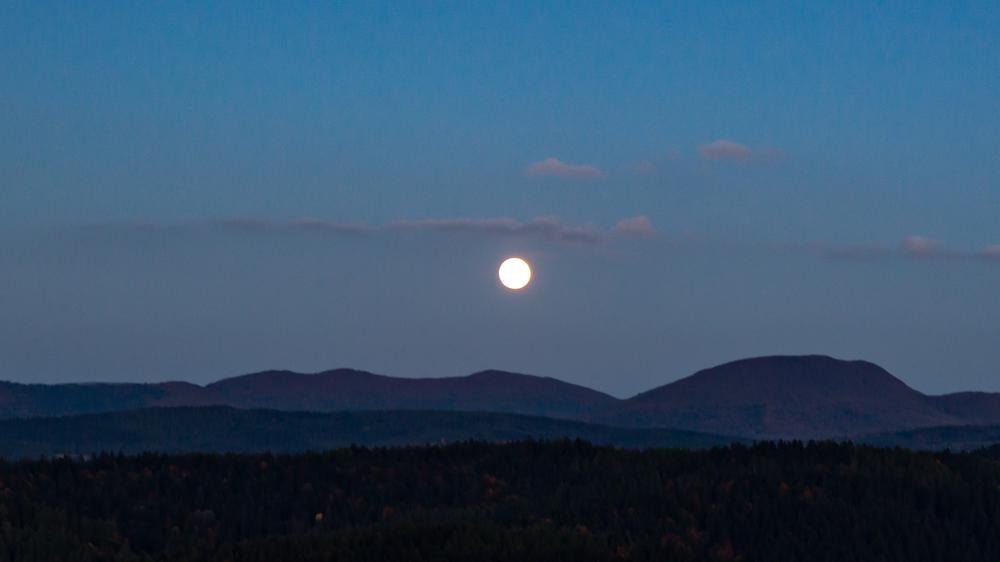 "Die weißen Nächte" von Urszula Honek: Die Beskiden bei Nacht: "Ans Dunkel muss man sich gewöhnen, wie bei ersten Schritten in die Winternacht."