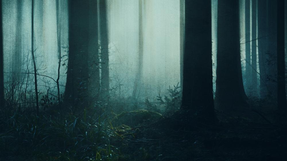  Irgendwann wird das Internet ein dunkler Wald sein, in dem nur noch die Geister der künstlichen Intelligenz spuken und sich gegenseitig erschrecken.
