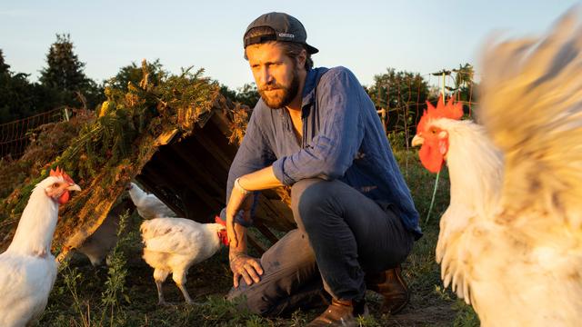 Landwirtschaft bei Trockenheit: Ackerbau wie in Afrika