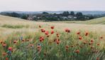Uckermark: Ist hier noch wer?