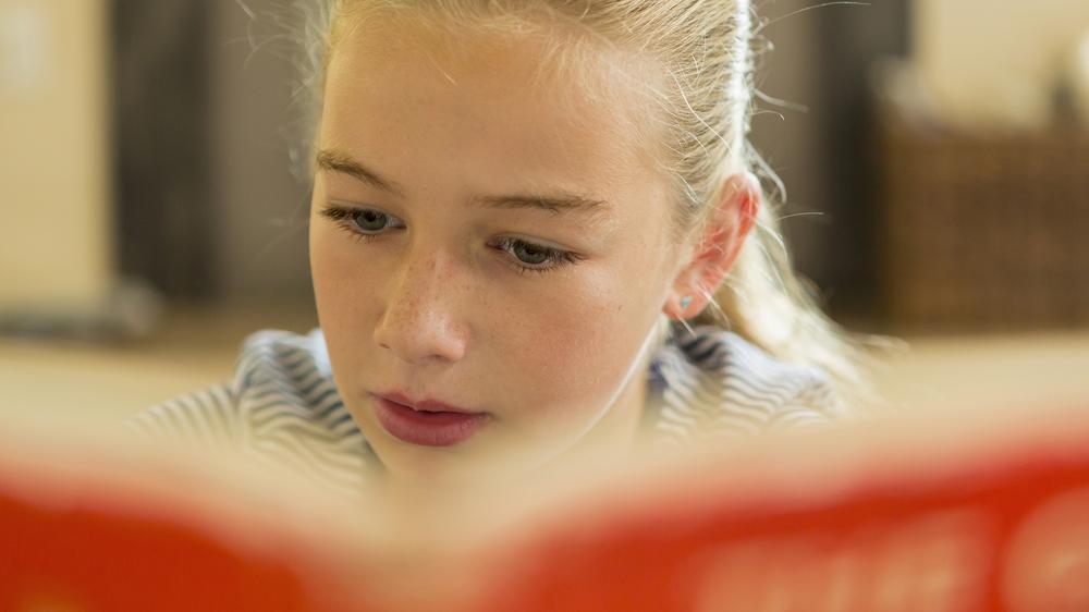 "Die Leiden des jungen Werther":  Genau wie Goethe war Werther eher die Leseratte.