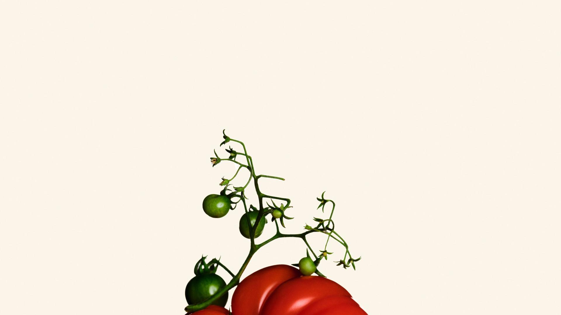 Ernährung: Mehr Gentechnik im Essen?