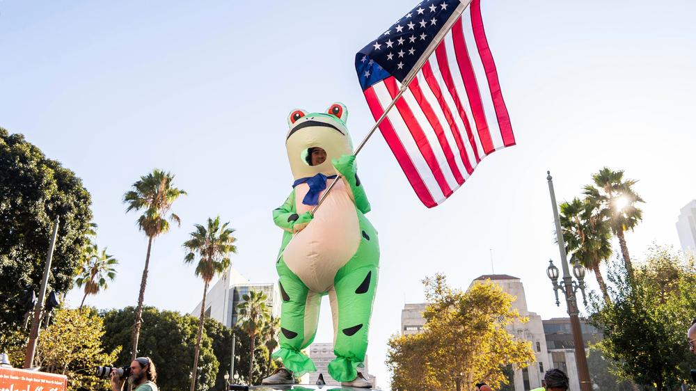  Ein Demonstrant im Froschkostüm in Los Angeles