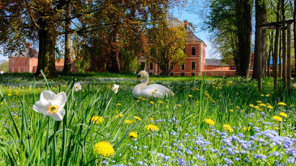 Michel Friedman in Klütz: Klütz, Mecklenburg-Vorpommern, 3.000 Einwohner und eigentlich unbekannt