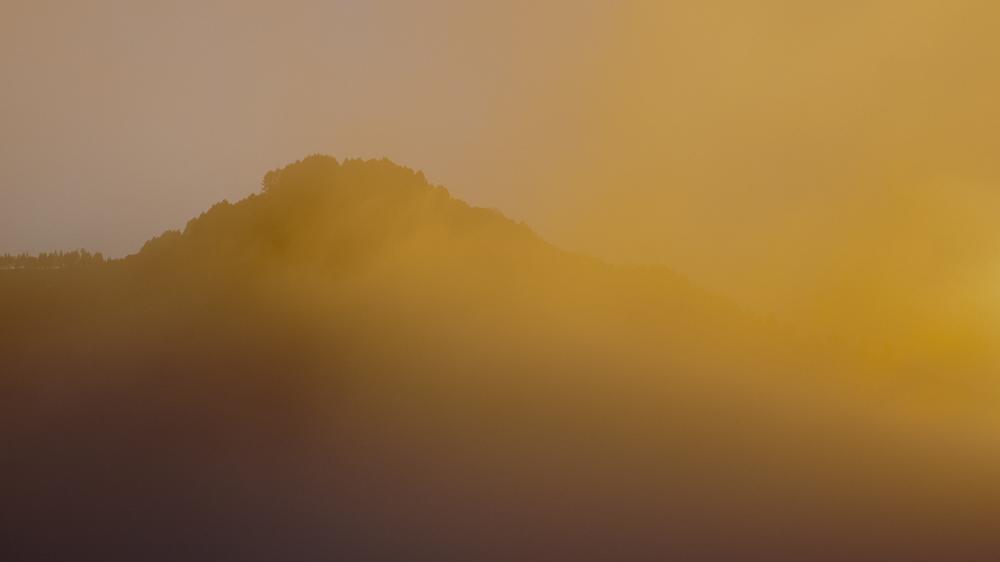 Ian McEwan: In Ian McEwan's new novel "What we can know" Let's look back at ourselves from the future, through the eyes of the very few people in 2119 who are interested in our present and who want to protect it - and us - from being forgotten.