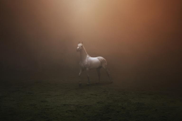 Jochen Buchsteiner: "Treue zum Land, zum Pferd, zum Volk, zur Scholle."