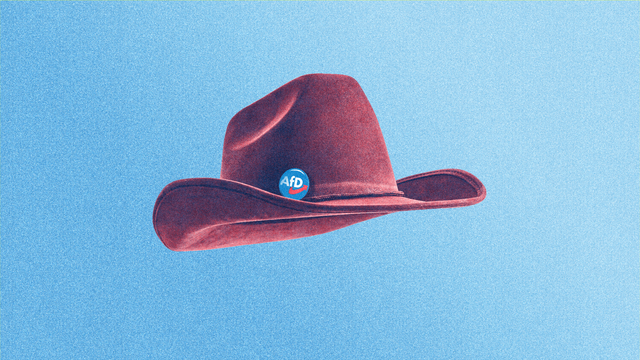 AfD und USA: Kampf der Volksparteien