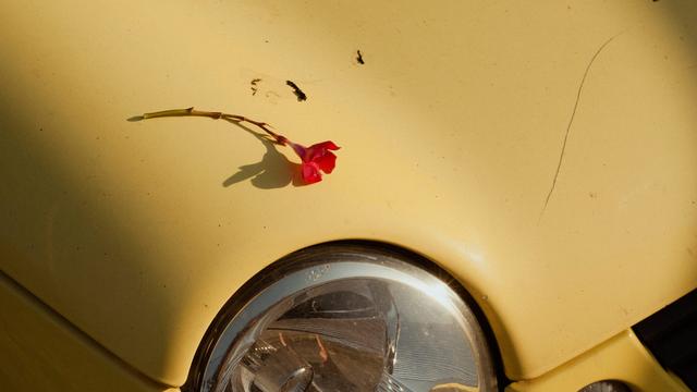 Autohändler-Betrug: Nichts verkauft, aber sehr teuer