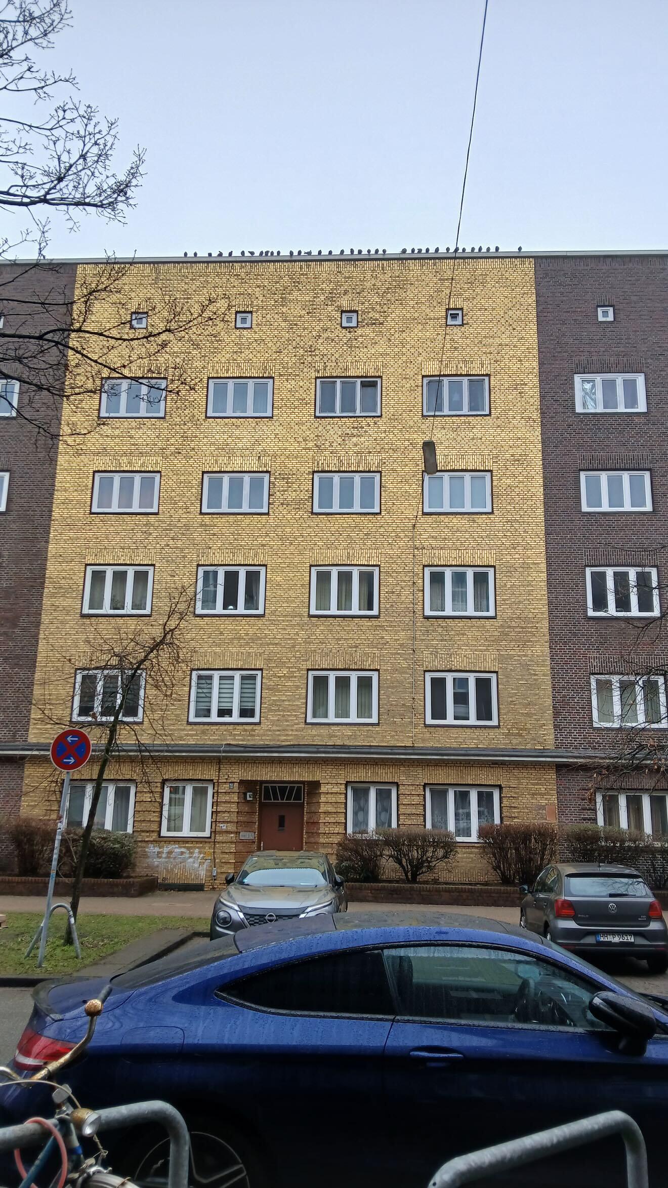 Für Veddeler Tauben muss es Gold sein