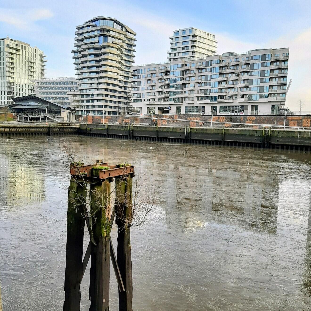 Niedrigwasser in der HafenCity