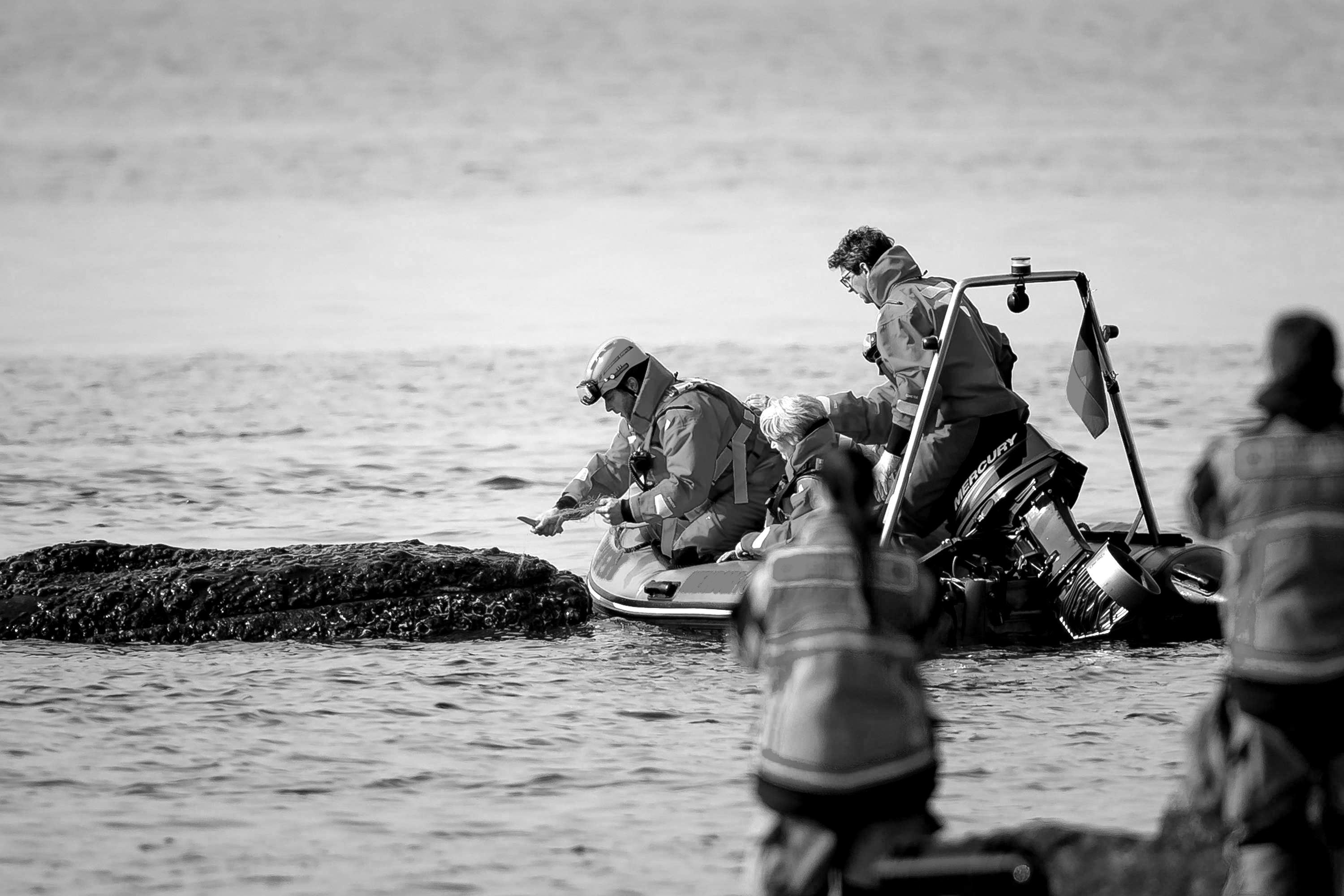 Elbvertiefung: Der tägliche Newsletter aus Hamburg: Mit Pickeln gegen das Grau