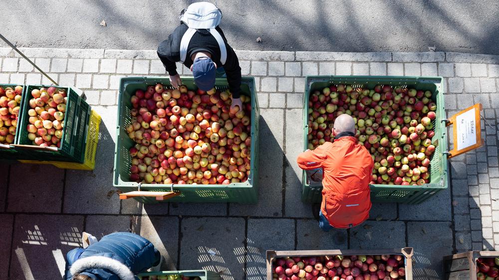 Ifo Institute: Despite the Iran war, the German economy is forecast to continue to recover - but more slowly. In addition, consumer prices are likely to rise.