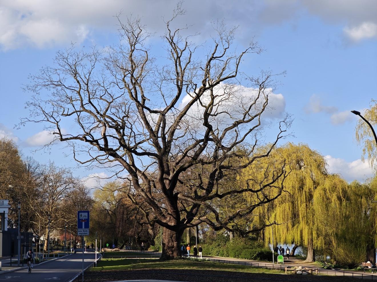 Elbvertiefung: Der tägliche Newsletter aus Hamburg: Ein Tipp: Essen gehen beim Amateurkoch – aber was für einem