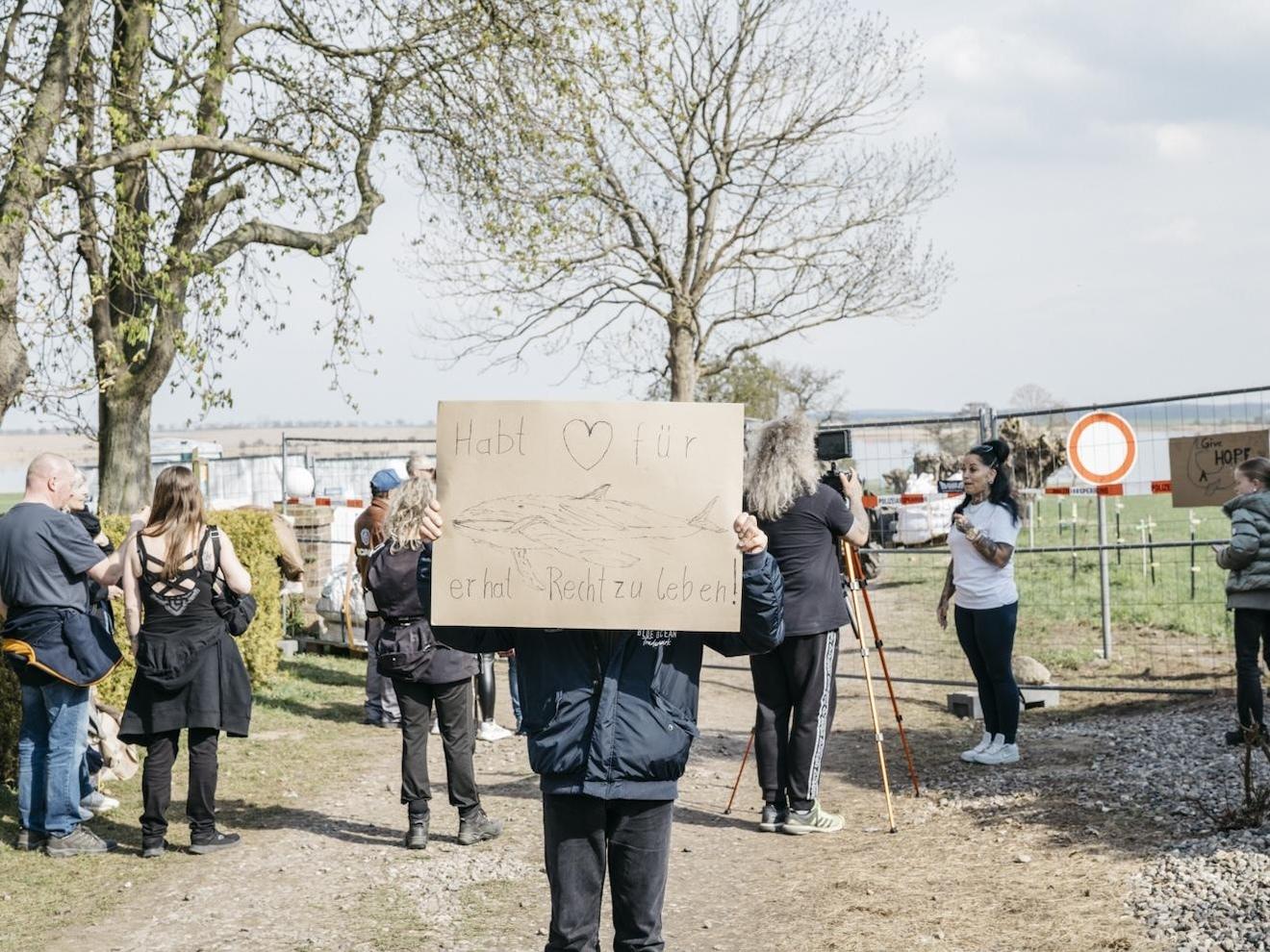 Elbvertiefung: Der tägliche Newsletter aus Hamburg: Ein Tipp: Essen gehen beim Amateurkoch – aber was für einem